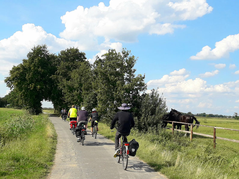 radreise-elberadweg
